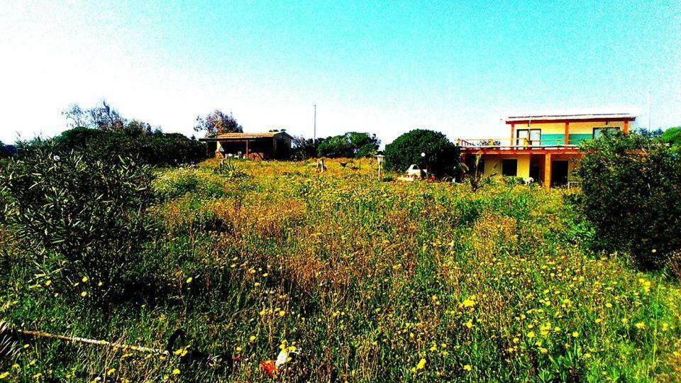 Eco Affittacamere Casa Maica Eco Guesthouse Стінтіно Екстер'єр фото